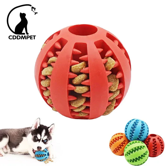 Bouncy Chew Ball for Dogs