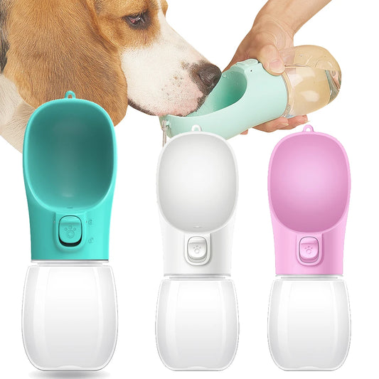 Pet Hydration On-The-Go