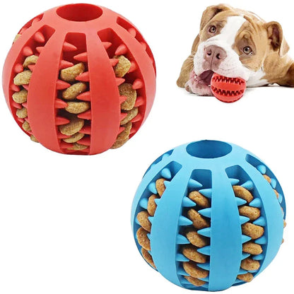 Bouncy Chew Ball for Dogs