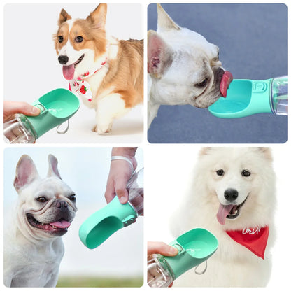 Pet Hydration On-The-Go