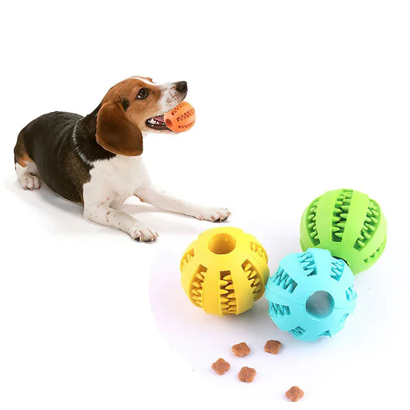 Bouncy Chew Ball for Dogs