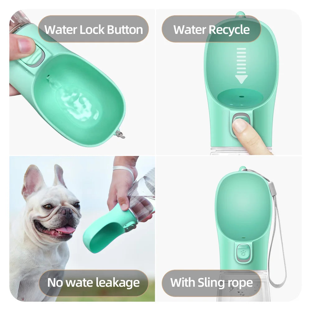 Pet Hydration On-The-Go