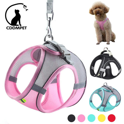 PetSafe Harness Set